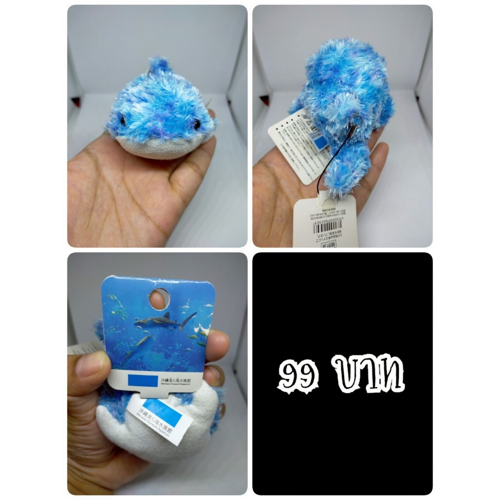 Whale Shark#ฉลามวาฬ#ปลา#Okinawa Churaumi Aquarium#ป้ายห้อย#งานพวงญี่ปุ่นมือสอง