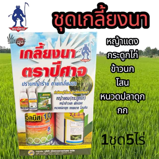 ชุดเกลี้ยงนา ตราปีศาจ กำจัดวัชพืชในนาข้าว