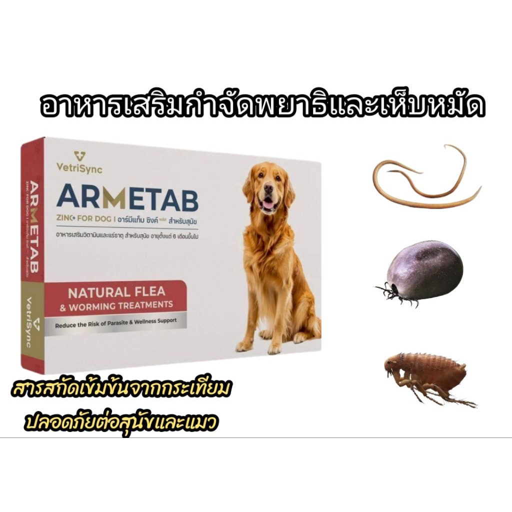 อาหารเสริมกำจัดเห็บหมัดสุนัขและแมว *อาร์มีแท็บซิงค์พลัส*(ARMETAB ZINC+) กำจัดเห็บหมัดหมาแมว 1กล่องบรรจุ12เม็ด