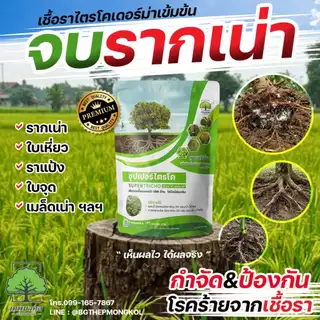 ซุปเปอร์ไตรโค ตราเทพมงคล กำจัดโรคจากเชื้อรา ป้องกัน กำจัดโรคพืช แก้ใบเหลือง รากเน่า โคนเน่า โรคใบจุด ใบแห้ง โรคทลายปาล์ม