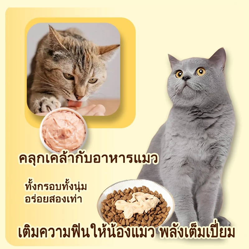 Plendy ขนมแมวเลีย 15g thumbnail 9