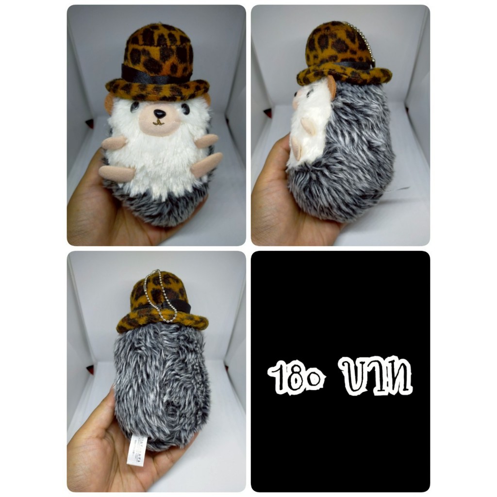 Azuki-kun#Azuki the Hedgehog#เฮดจ์ฮอก#เม่นแคระ#เม่น#งานพวงญี่ปุ่นมือสอง