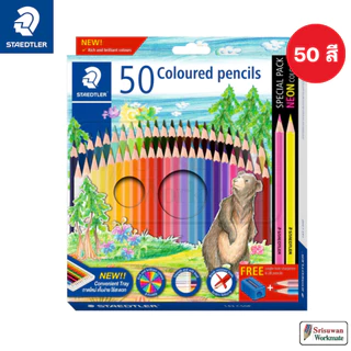 Staedtler ชุดดินสอสีไม้ รุ่น 143 สีไม้พิกเม้นท์สูง ไม่เปราะ และหักง่าย Colour Pencil Set สเต็ตเร่อ สีไม้ ลายหมี