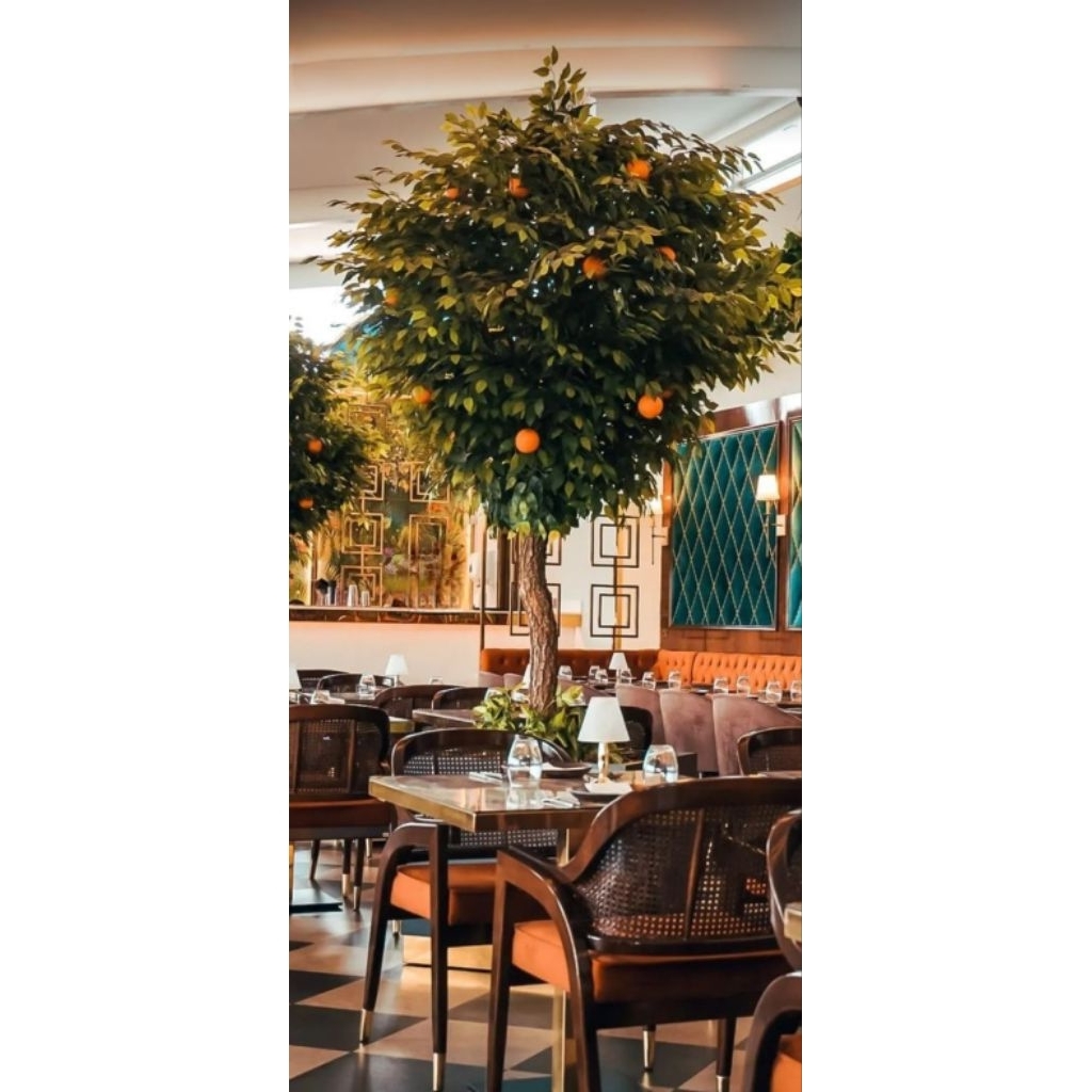 lemon/orange tree (200cm.)