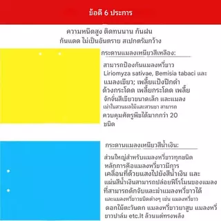 แผ่นกาวดักแมลง (มีกาวในตัว) มีให้เลือกหลายขนาด แพ็คละ 25/50/100 แผ่น กับดักแมลงกินผัก ดักแมลงศัตรูพืช กาวดักแมลงวันทอง