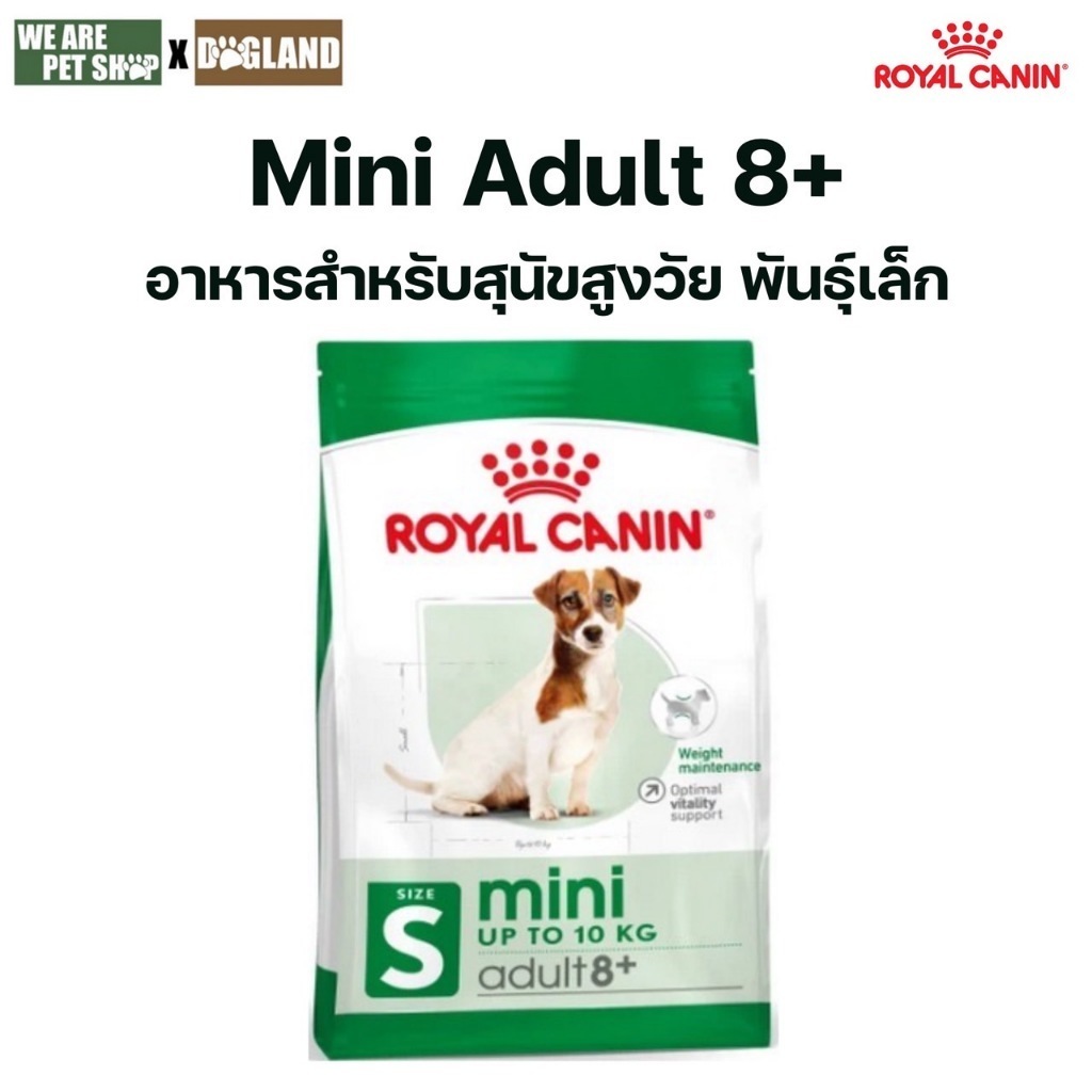 Royal Canin Dog MINI ADULT 8+ : 2 kg อาหารเม็ดสุนัขสูงวัย พันธุ์เล็ก 2 kg