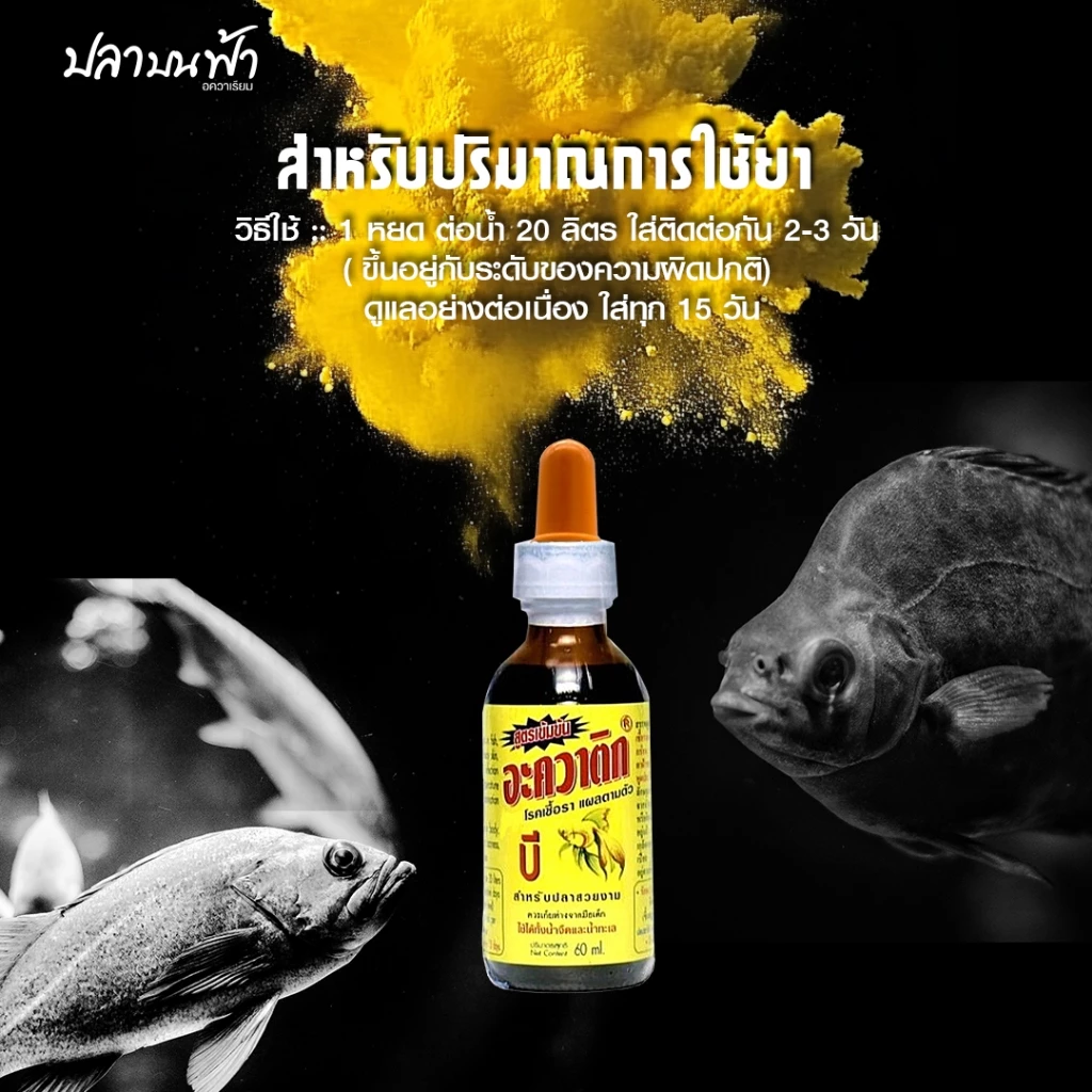AQUATIC B อะควาติก บี สูตรเข้มข้น ขนาด 60 ml. ใช้ได้ทั้งน้ำจืดและเค็ม สำหรับปลาสวยงาม thumbnail 5