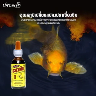 AQUATIC B อะควาติก บี สูตรเข้มข้น ขนาด 60 ml. ใช้ได้ทั้งน้ำจืดและเค็ม สำหรับปลาสวยงาม