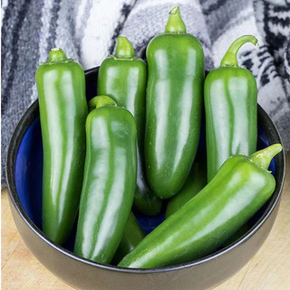 เมล็ดพันธุ์ พริกจาราปิโน่ Jalapeno Pepper Seed บรรจุ 80 เมล็ด คุณภาพดี ของแท้ 100%