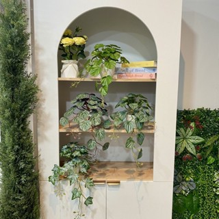 เถาวัลย์ประดิษฐ์ ตกแต่งวางตั้งโต๊ะ เถาวัลย์พร้อมกระถางแถมหิน