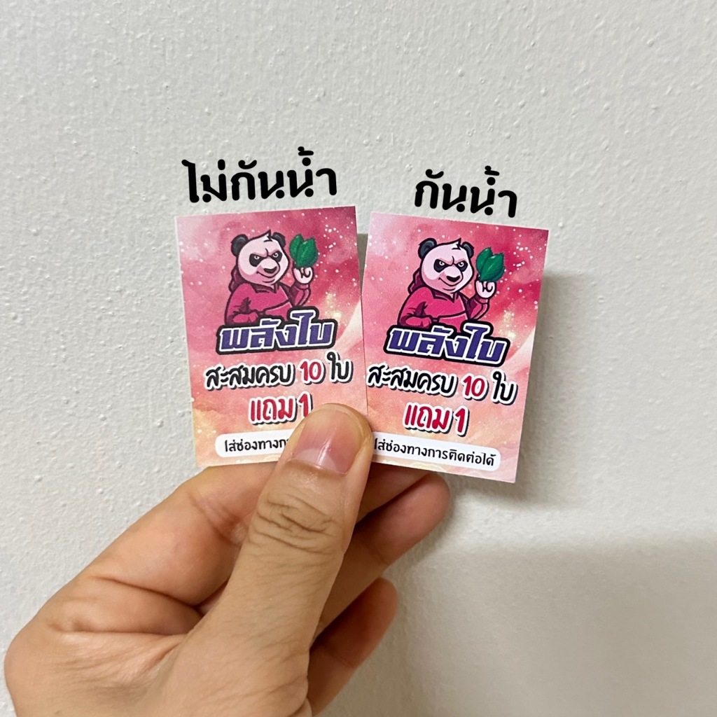 รูปภาพ 6