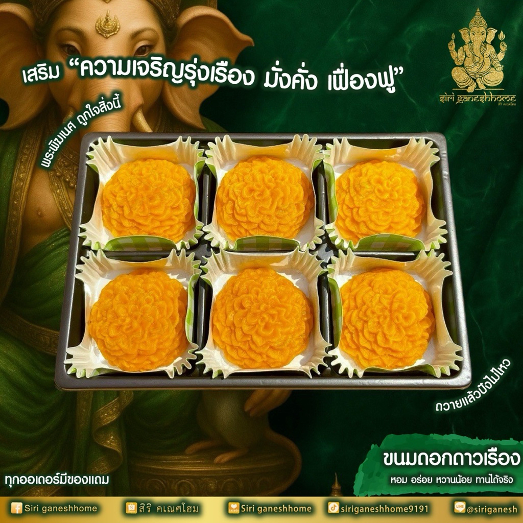 ขนมดอกดาวเรือง ดอกดาวเรือง ขนมดาวเรือง