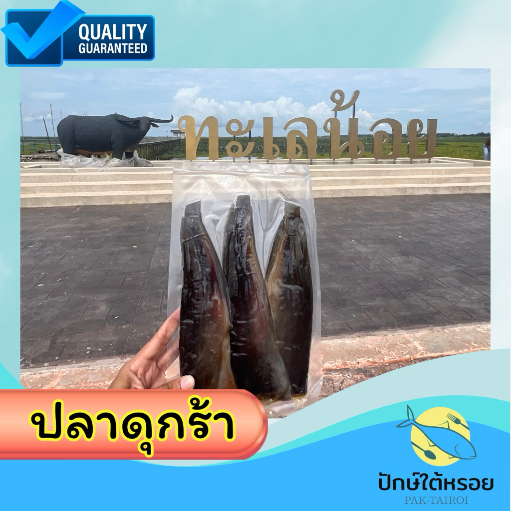ปลาดุกร้าทะเลน้อย แพค 2-3 ตัวใหญ่ 250 กรัม ปลอดสารพิษ หอม อร่อย ตากในมุ้ง
