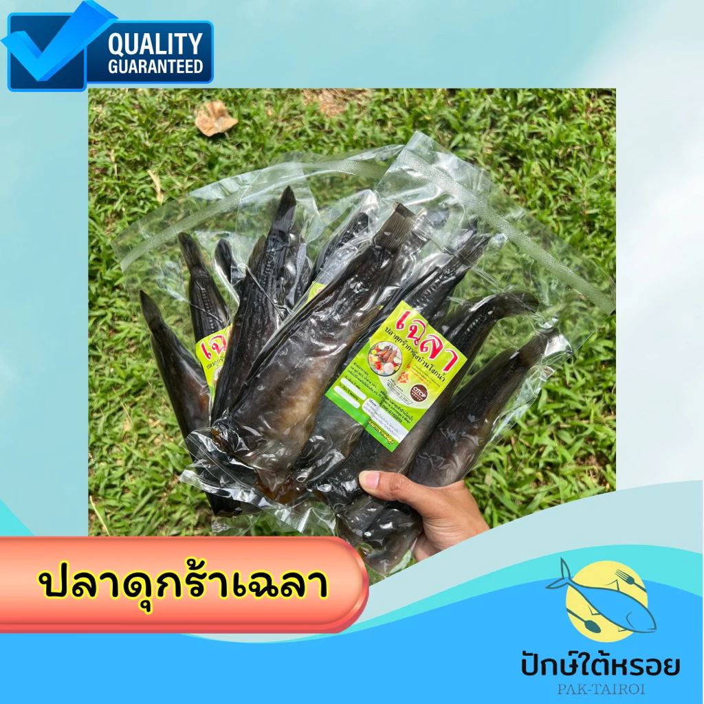 ปลาดุกร้า เฉลา พัทลุง OTOPปลอดสารพิษ หอม อร่อย 100%