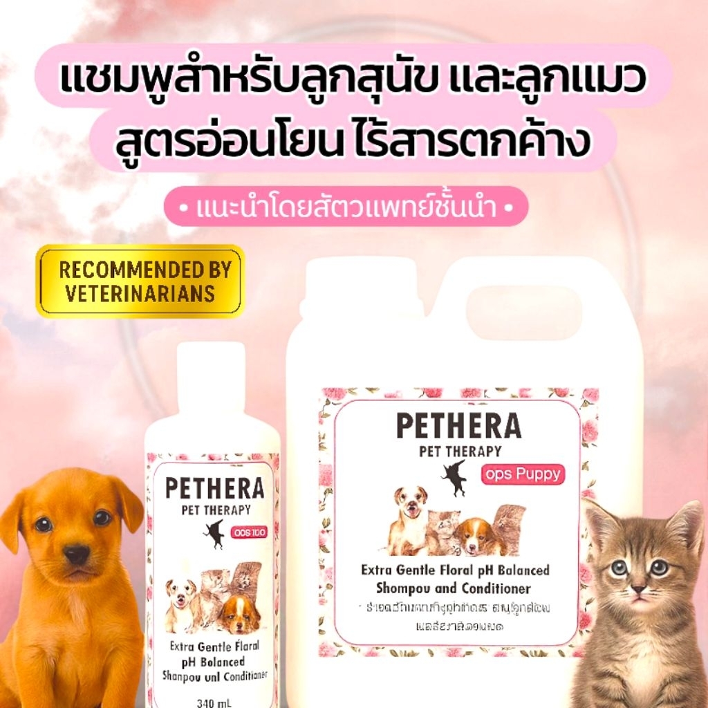 🛑แชมพู Pethera สูตรลูกสุนัข/ลูกแมว🛑ผิวแพ้ง่าย เชื้อราสุนัขแมวเด็ก ลดผดผื่นคัน กลากเกลื้อนน้ำนม