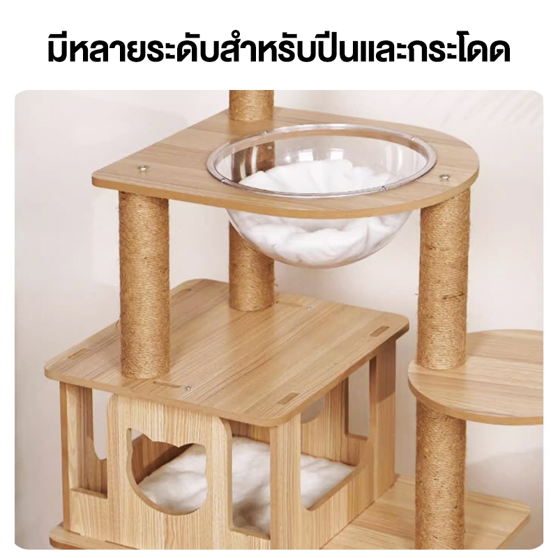 คอนโดแมวหลังใหญ่หลายดีไซน์ ไม้สวยไร้เหลี่ยมคม คอนโดไม้ รูปที่ 5