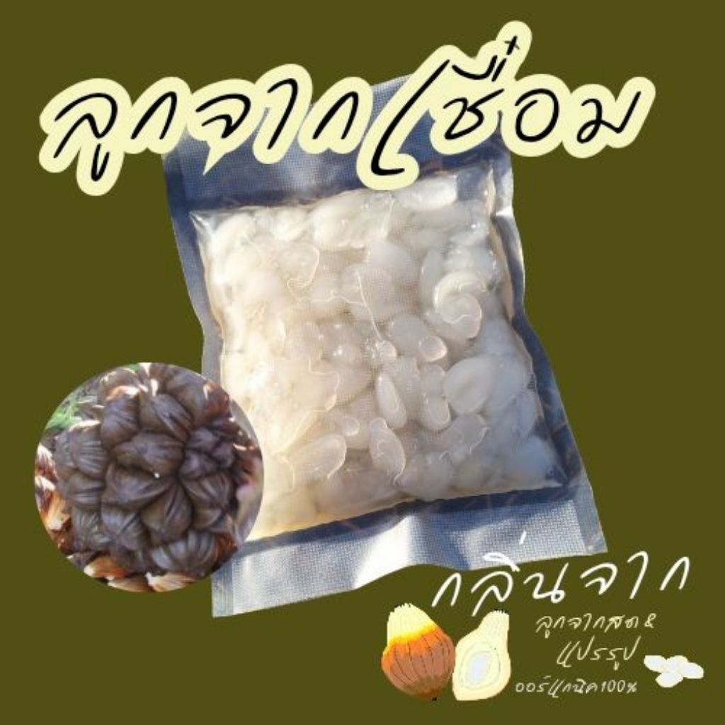 ผลไม้เชื่อม ลูกจากเชื่อม เม็ดอ่อนนุ่ม ลูกจากที่ไม่ใช่ลูกชิดหรือลูกลาน sweet braised nipa fruit *ทำสดหลังสั่งซื้อ*