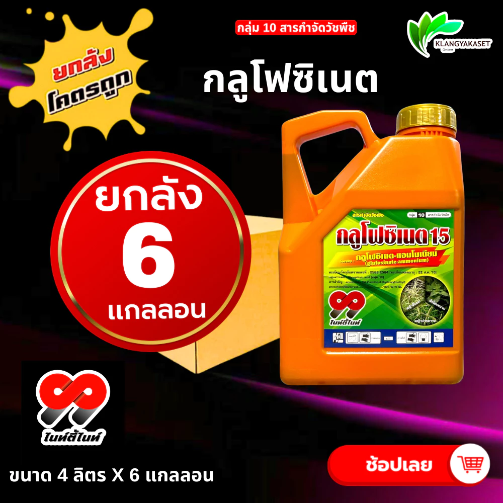 ยกลัง 6 แกลลอน กลูโฟซิเนต 99 4 ลิตร กำจัดวัชพืช ทุกชนิด ฉีดในแปลงผัก ไร่ นา ล้างแปลง บาสโซน กลูโฟซิเนต วัชพืช ทั้งใบแค