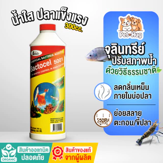 (ของแท้ 100%) Bactocel 5001 300cc จุลินทรีย์น้ำใส บ่อปลา ตู้ปลา แบลโตเซล ปรับสภาพน้ำใส บ่อขนาดใหญ่