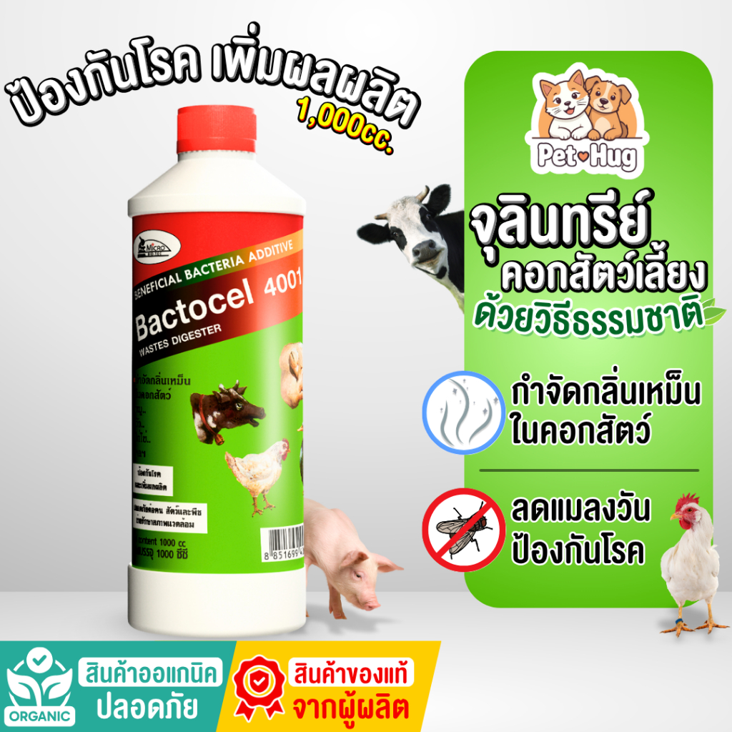 (ของแท้ 100%) Bactocel 4001 ขนาด1000cc ดับกลิ่นเหม็นคอกสัตว์ ลดแมลงวัน Bactocel ย่อยสลายของเสีย