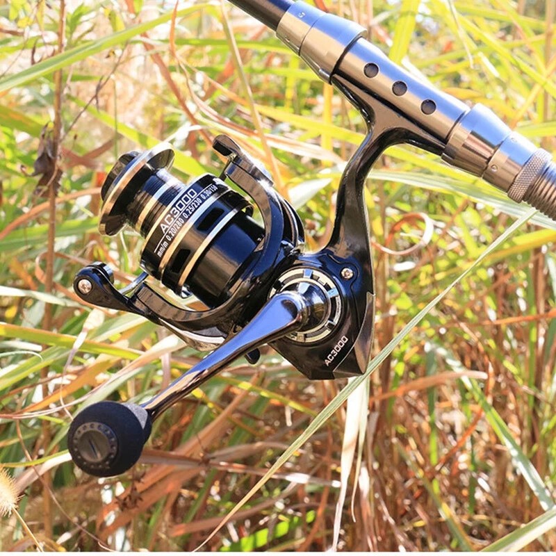 รูปภาพ 9