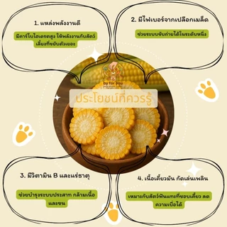 ข้าวโพดอบแห้ง สำหรับหนูแฮมสเตอร์และสัตว์ฟันแทะ By For You🌽| ข้าวโพด100% Organic