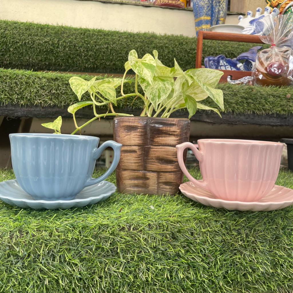 [1ชุด] ชุดกาแฟสกาลอฟ ขนาด 12 oz สีน้ำเงินน้ำทะเล/สีชมพู