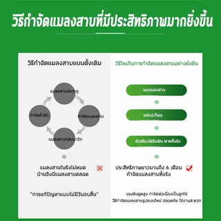 💥100ปีไม่มีแมลงสาบ💥แมลงสาบ ไล่แมลงสาบ ดักแมลงสาบ ฆ่าแมลงสาบ ซื้อ1แถม1 10ชิ้น/กล่อง การฆ่าต่อเนื่องโดยการให้อาหาร