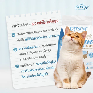 *1kg-2.3kg.* Pramy Feline Solutions อาหารแมวสูตรเฉพาะทาง พัฒนาโดยสัตวแพทย์