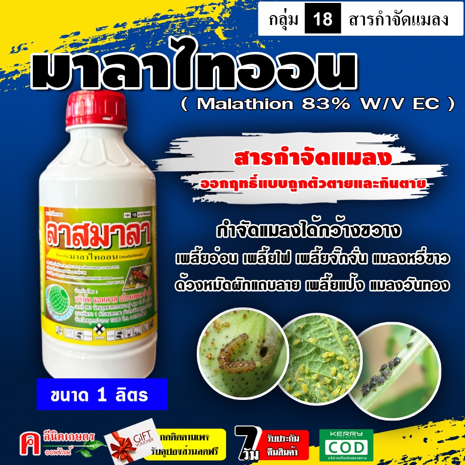 เอ็กซ์มาลา ( malathion ) สารกำจัดแมลงศัตรูพืช เพลี้ยอ่อน เพลี้ยไฟ หนอนใยผัก หนอนกระทู้ แมลงหวี่ขาว แมลงวันทอง แมลงดำหนาม