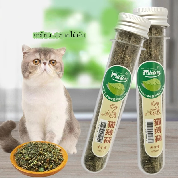 AL-022 กัญชาแมว Catnip ออร์แกนิคแบบหลอด บบผงขนาด 40 ml แคดนิปแมว แคตนิปแมว กัญชาหลอด