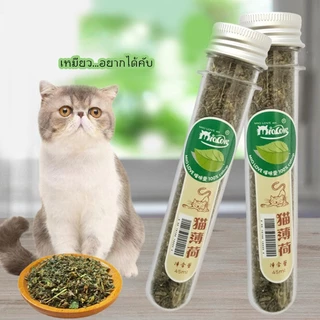 AL-022 กัญชาแมว Catnip ออร์แกนิคแบบหลอด บบผงขนาด 40 ml แคดนิปแมว แคตนิปแมว กัญชาหลอด