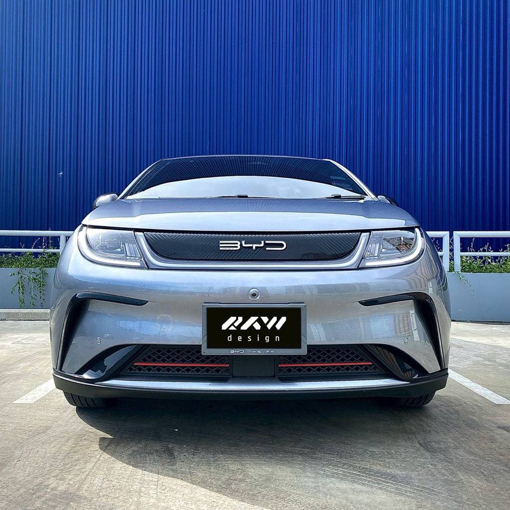 [ส่งฟรี]ตะแกรงกันหิน BYD dolphin