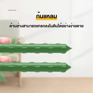 ไม้ค้ำต้นไม้ DIY ยาว90-150ซม หนา11มม โครงปลูกผัก เสามะเขือเทศ เหล็กเคลือบพลาส ไม้ค้ำยันต้นไม้ ค้างต้นไม้