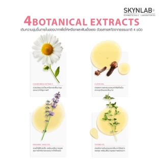 Skynlab ยาสีฟันพรีเมี่ยมหิมาลายัน 50g/100g สกินแล็บ