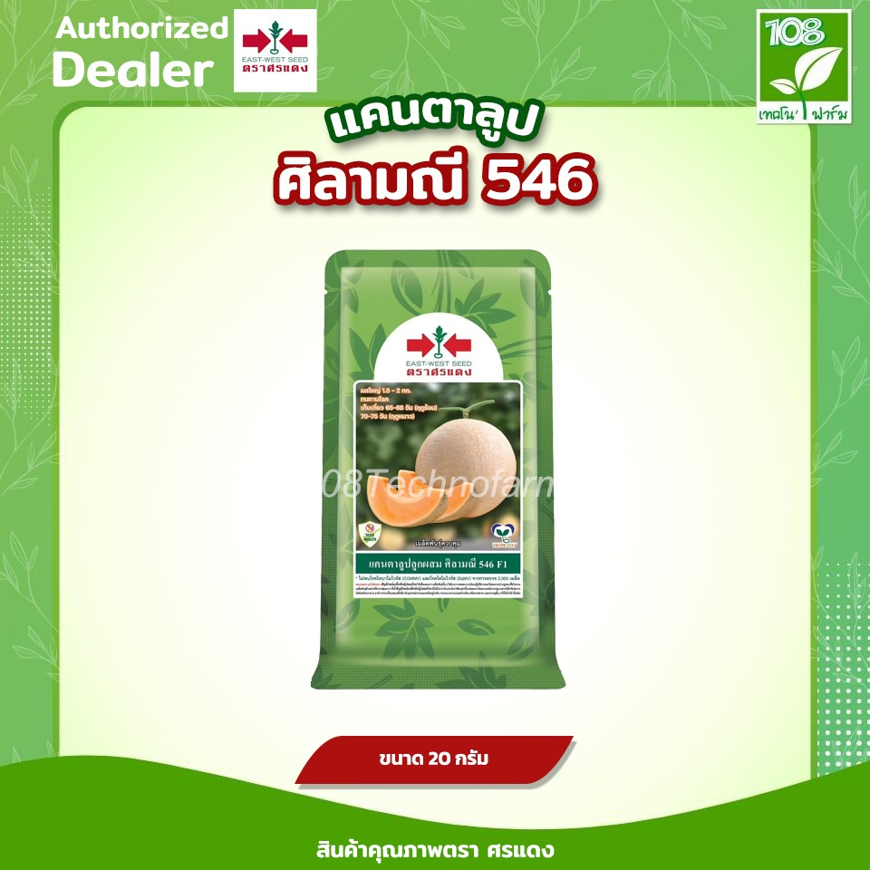 เมล็ดพันธุ์ แคนตาลูปศิลามณี 546 ตรา ศรแดง ขนาด 20 กรัม