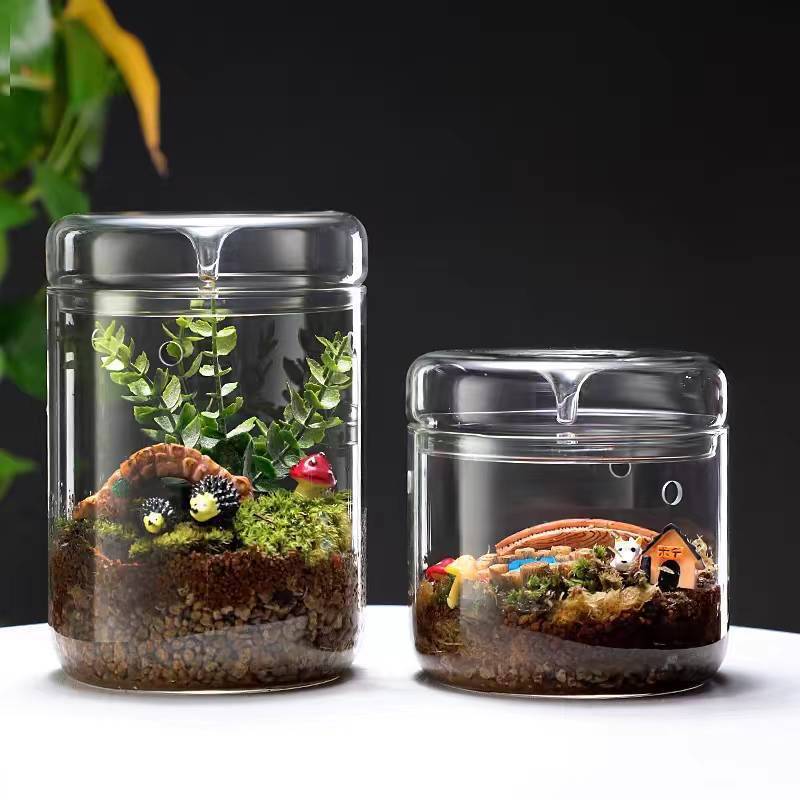โหลแก้วปลูกต้นไม้ จัดสวนขวด Terrarium สินค้าส่งจากไทย