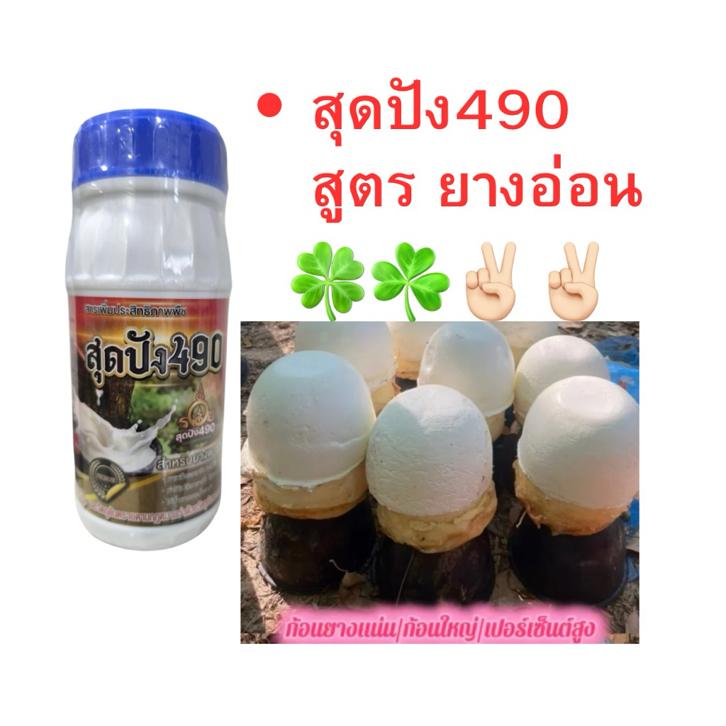 สุดปัง490สีฟ้าสูตรยางต่ำกว่า15ปีขนาด500cc