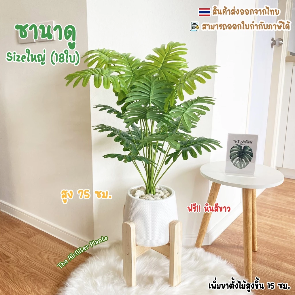 ต้นไม้ปลอมSizeใหญ่(18ใบ)พร้อมกระถาง(ฟรี!!หินโรย) ต้นซานาดู75-90ซม. ตั้งบริเวณบ้าน ข้างโซฟา ตั้งหน้าทีวี ต้นไม้มงคล