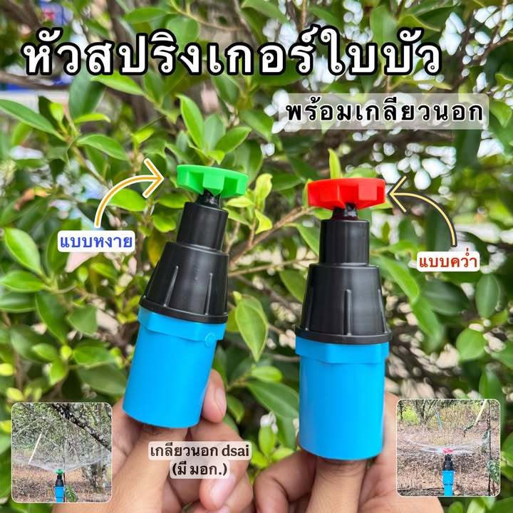 (แพ็ค 30อัน,50อัน, 100อัน) หัวสปริงเกอร์ใบบัว+ข้อต่อเกลียวนอก 4หุน (แบบหงาย-สีเขียว/แบบคว่ำ-สีส้ม) ตรา ไชโย