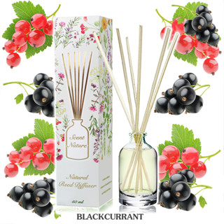 ก้านไม้หอม 50ml กลิ่น BLACKCURRANT แบลคเคอแรนท์