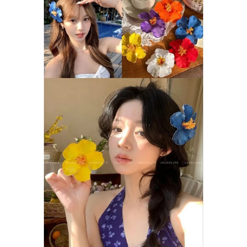 ดอกชบาโฟมสวยแข็งแรงดอกใหญ่10Cmพร้อมส่งจากไทยทุกวัน