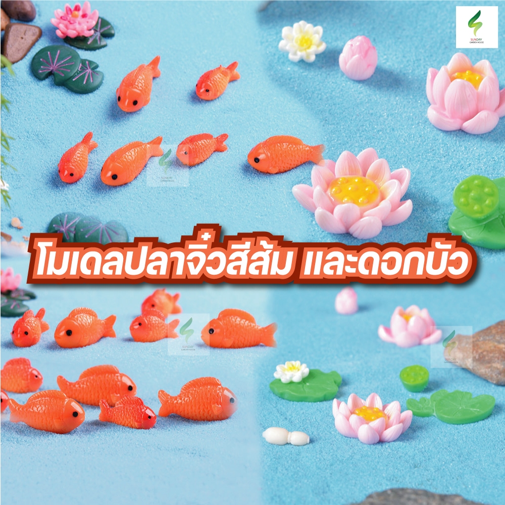 โมเดลปลาจิ๋วสีส้ม เล็ก ใหญ่ ตุ๊กตาปลาจิ๋ว ตกแต่งสวน สวนถาด โมเดลดอกบัว ดอกบัว ต้นบัว ตุ๊กตาจิ๋ว