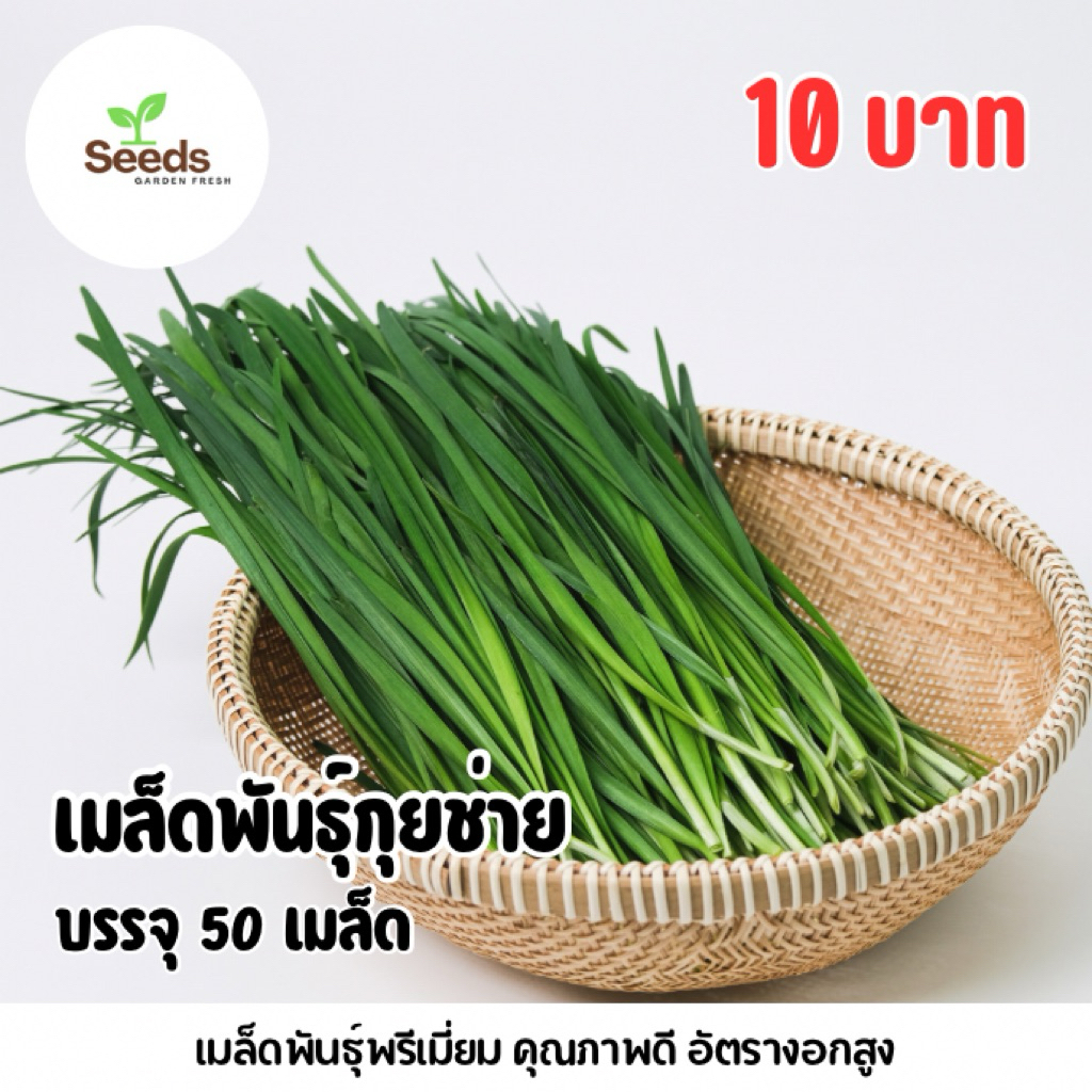 เมล็ดพันธุ์กุยช่าย บรรจุ 50 เมล็ด/ซอง