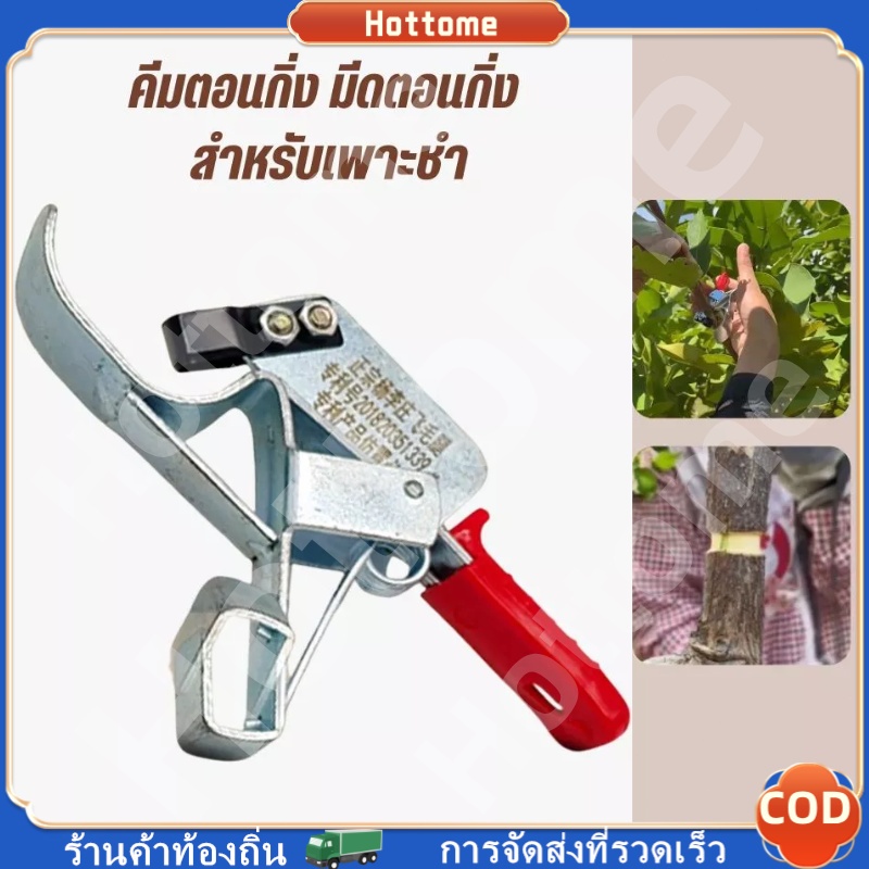 🔶🔶 มีดตอนกิ่ง คีมตอนกิ่ง 2 ใบมีด คีมควั่นเปลือก เครื่องมือควั่นต้นพุทรา คีมลอกเปลือก มีดเปิดเปลือก กรรไกรควั่นกิ่งผลไม้