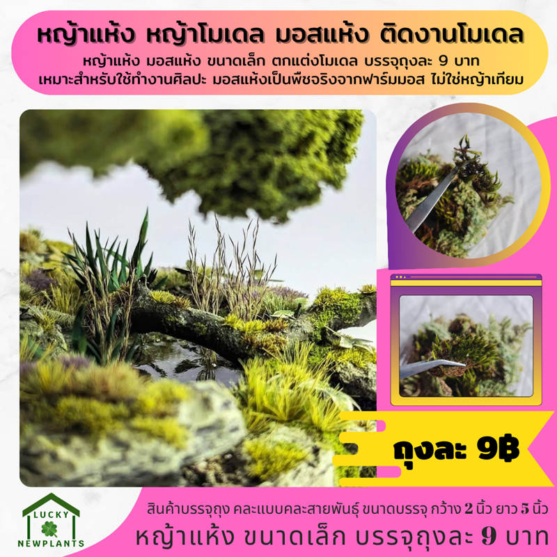 หญ้าแห้ง หญ้าโมเดล มอสแห้ง งานโมเดล หญ้าแห้งขนาดเล็ก ถุงละ 9 บาท ซื้อ 2 แถมฟรี 1