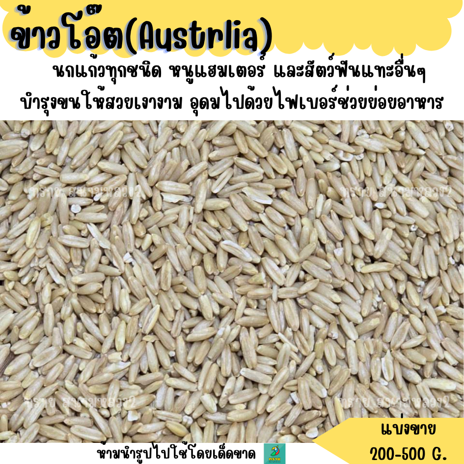 ข้าวโอ๊ต (แบ่งขาย 200-500G.) อาหารนกแก้ว และ สัตว์ฟันแทะ
