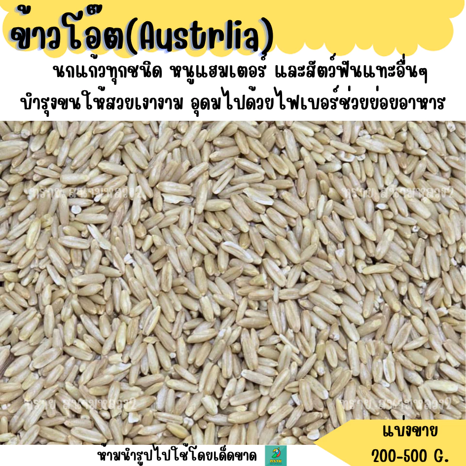 ข้าวโอ๊ต (แบ่งขาย 200-500G.) อาหารนกแก้ว และ สัตว์ฟันแทะ