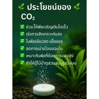 เม็ดco2 สำหรับต้นไม้น้ำตู้ไม้น้ำ 12เม็ดสุดคุ้ม