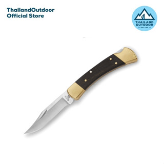 Buck 110 Folding Hunter (0110BRS)